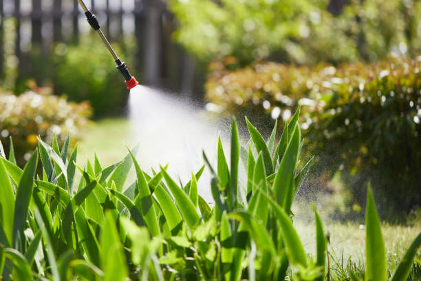 Tamper-Resistant Bait Stations for Rodents in Golden Valley