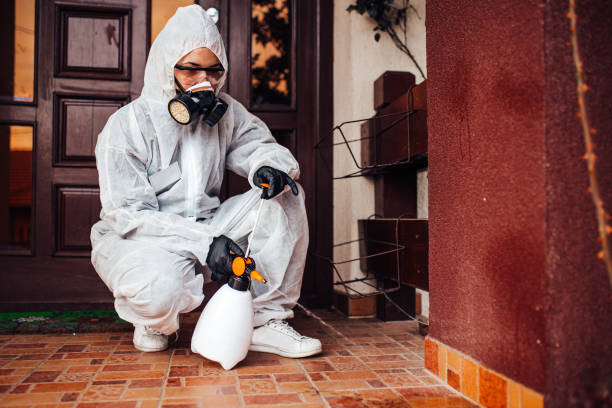 Attic and Crawl Space Rodent Treatment in Golden Valley